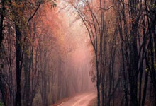 WELLBET官网：山东体育学院运动休闲学院与泰山七号马术俱乐部共建产教融合新高地.