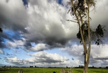 [中超]攻势如潮 上海海港再迎大胜.