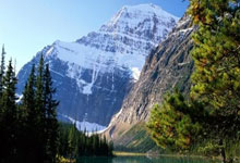 WELLBET官网：岁当上冰岛国家队队长，奥斯卡松：得知消息时我震惊了.