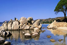 詹姆斯：很兴奋与儿子并肩作战 全家的欢庆时刻.